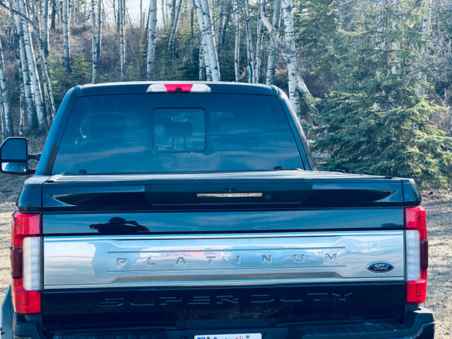 2019 platinum  in Cars & Trucks in Red Deer - Image 3