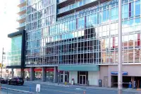 Ottawa Downtown Gem for rent