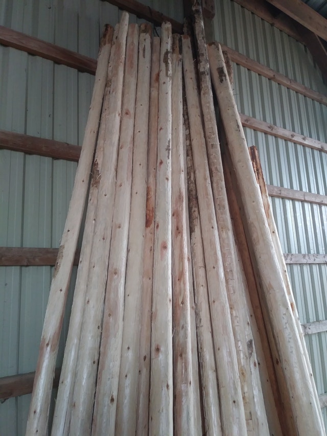 Eastern white cedar fence posts Decks & Fences Oakville / Halton