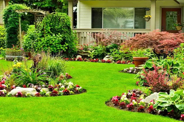 Lawn care & grass cutting 