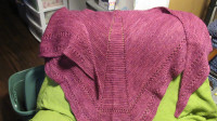 Miscellaneous Knitted Shawls -  REDUCED PRICE