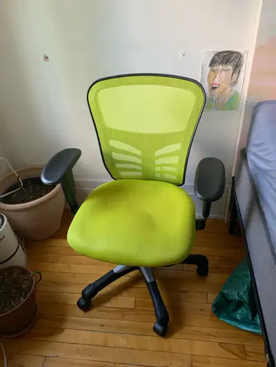 Green Ergonomic Desk Chair, View more