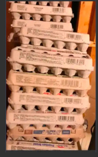Egg paper cartons