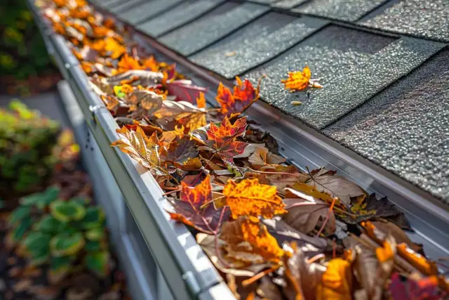 Gutter Cleaning and Drainage Service
