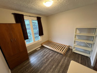Niagara college welland room for rent 