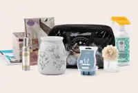 Scentsy zero out of pocket