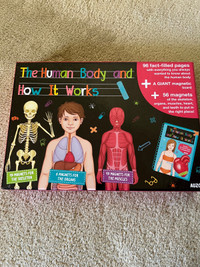 Human Body game