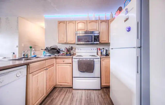 172 Regina St. N. Apt. #5 Room#2 - SUBLET $875 includes parking in Room Rentals & Roommates in Kitchener / Waterloo - Image 6