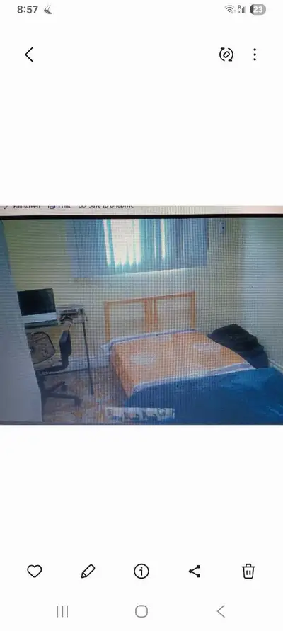 A large,bright, well ventilated and clean furnished room available for rent in Brampton. Shared kitc...