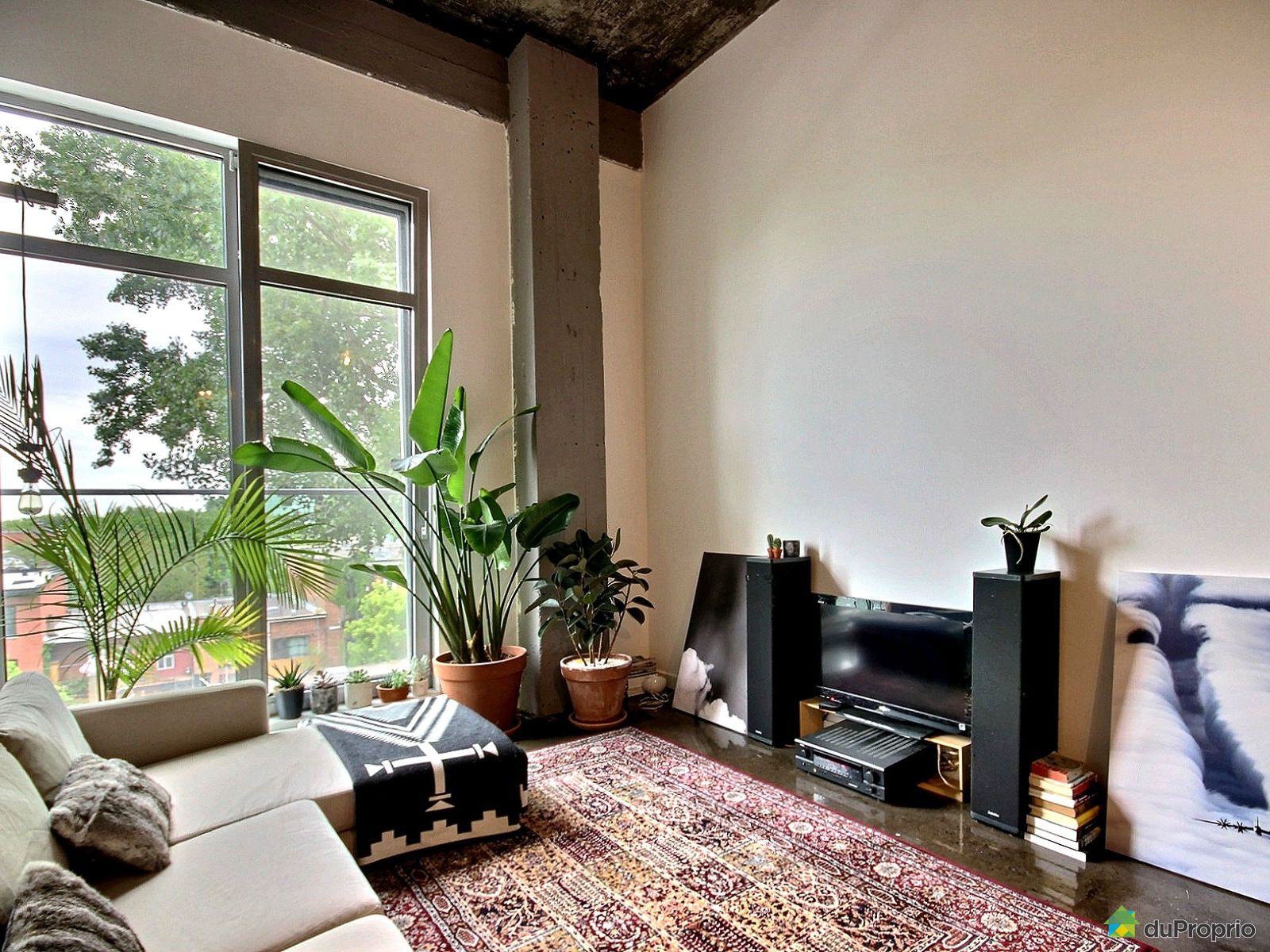 Loft industriel — photo 3