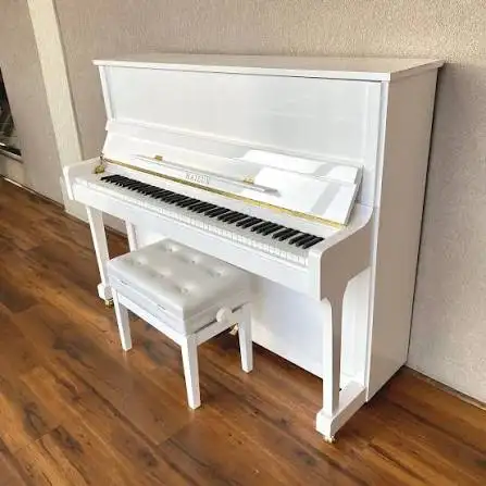 BEGINNER PIANO LESSNS FOR ADULTS AND CHILDREN!