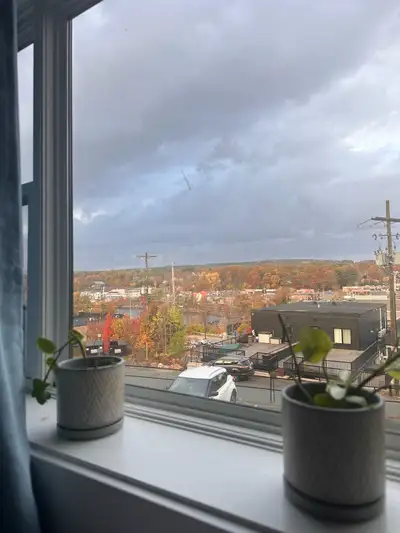 one BHK apartment for rent from Dec 1 in Bridgewater. One parking spot included. Laundry in the buil...