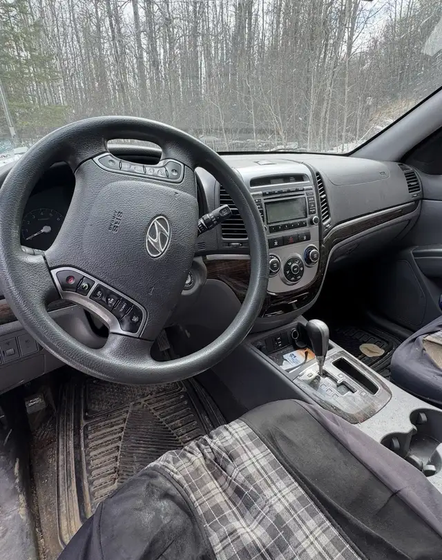 2010 Santa Fe64959943389313121