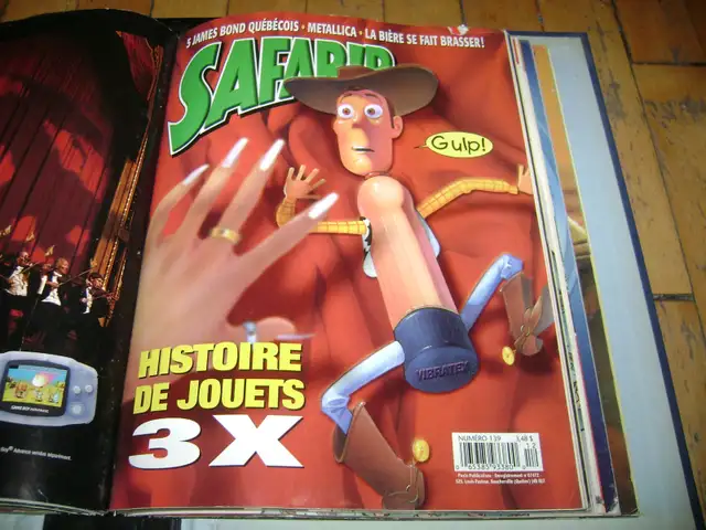 SAFARIR Magazine Binding (8 Issues)598691398466949127