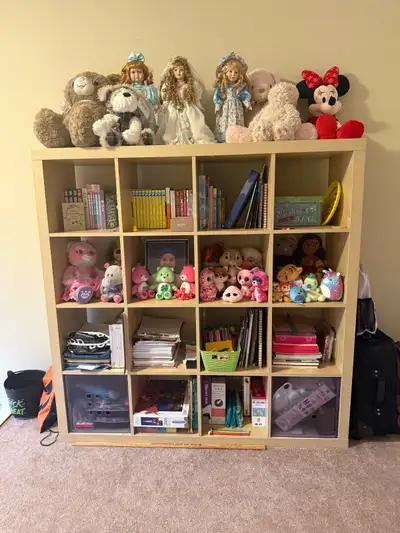  large organizing shelves, View more