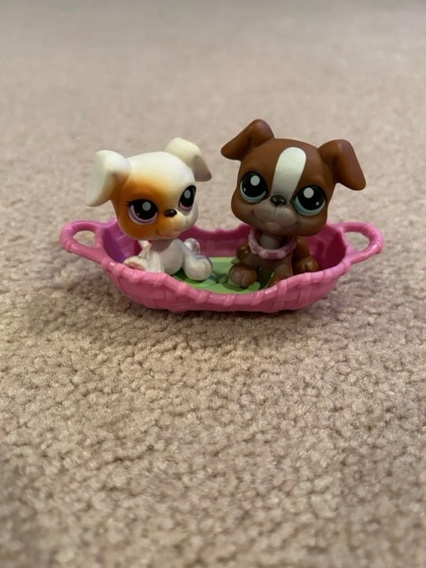 Littlest Pet Shop Pet Pair Boxer Dogs #83 and #84 in Toys & Games in Leamington