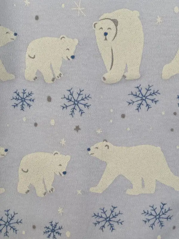 NEW - Soft Blue Fair Aisle Pajamas Sleeper, PEHR, 6-12 months in Other in Markham / York Region - Image 5