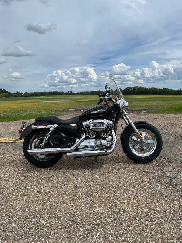  2012 Harley Davidson Sportster XL 1200 Custom  in Street, Cruisers & Choppers in Edmonton - Image 2