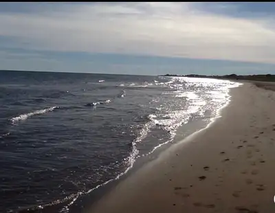 Aboiteau Beach Cottage Rental , View more