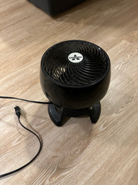Vornado adjustable fan