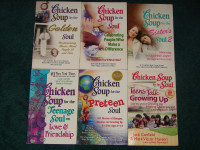 NEW CHICKEN SOUP BOOKS