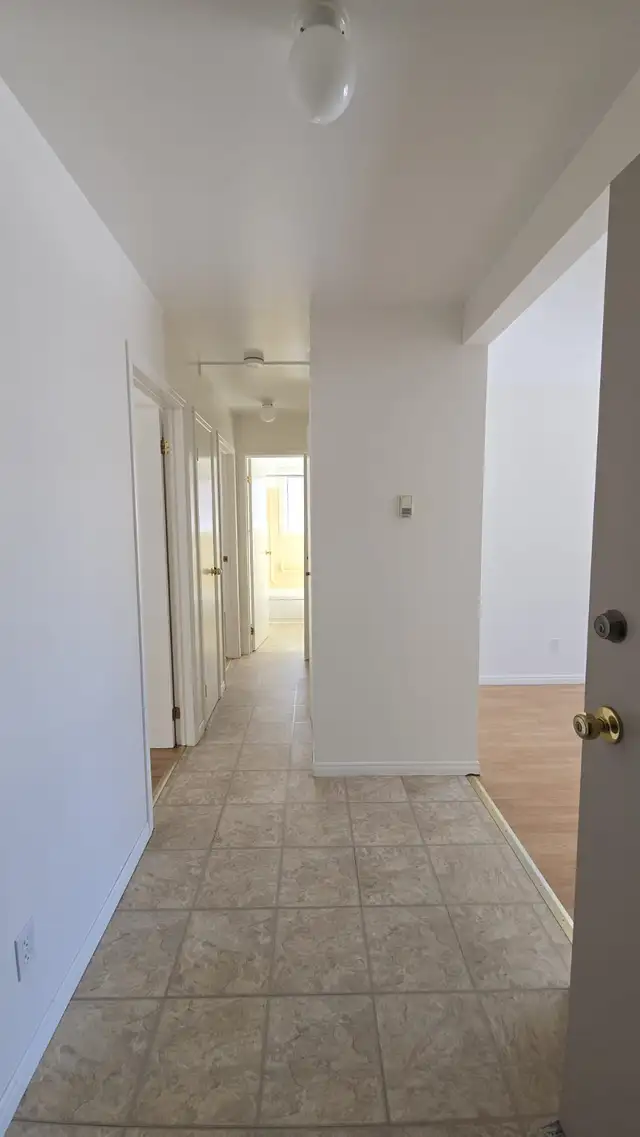152 MAIN ST. - CHELMSFORD in Long Term Rentals in Sudbury - Image 13