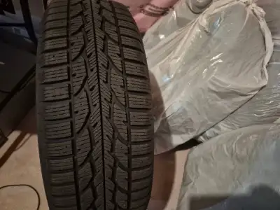 Snow tire 225/60 R17 99S M+S winterforce 2 u v