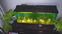 Free washed Aquarium Substrate for aquarium Water Plants