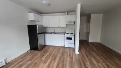 This Unit is still available. Renovated clean studio apartment for rent. 1250.00 per month. It inclu...