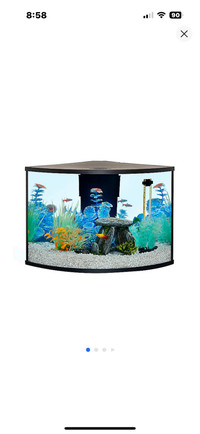 Wanted - Bow Front Corner  Aquarium/Stand