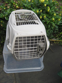 1 Dog/several Cat Carriers: hard plastic/ Vinyl/cloth/faux type!