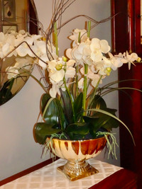 Refresh your décor with Orchids!