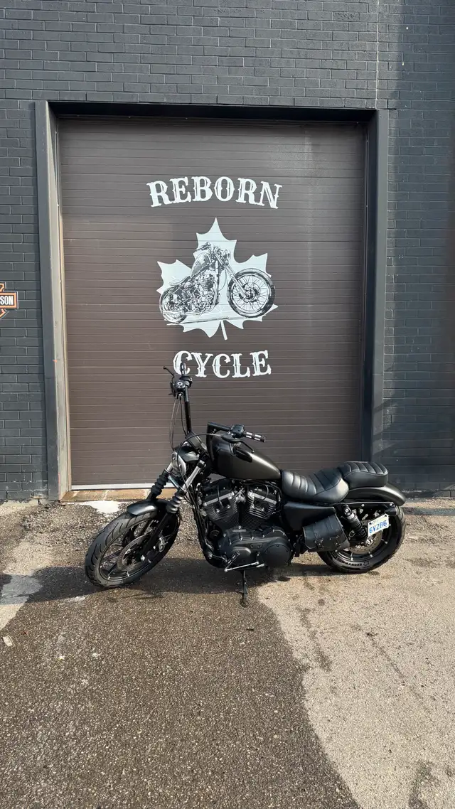 Sportster 883 2016 in Street, Cruisers & Choppers in City of Toronto - Image 3