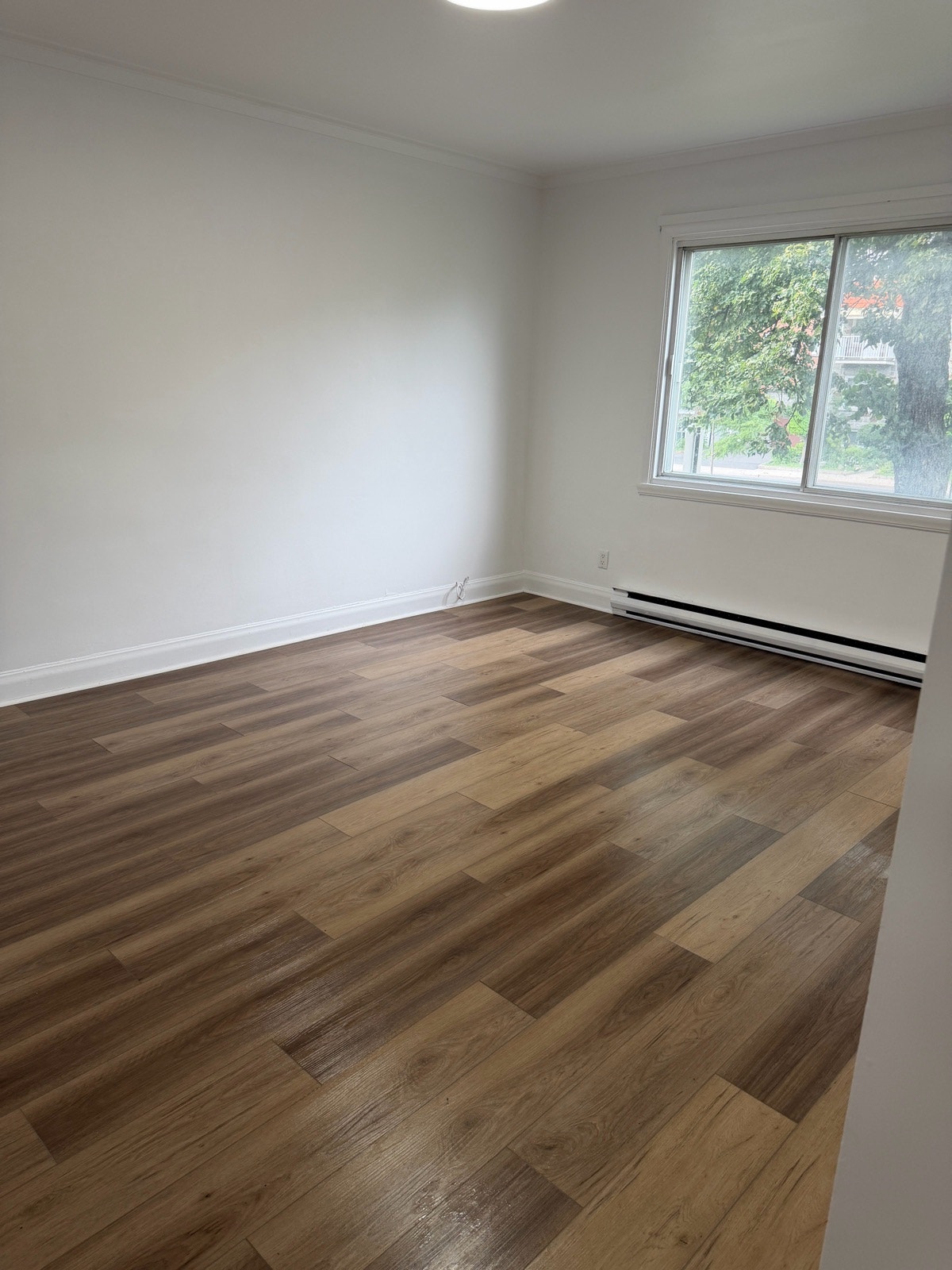 6636 Bd Pie-IX — photo 1