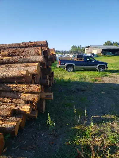 FIREWOOD SERVICES TEXT MIKE 780-719-7436 TAMARACK Short box 200$ 8ft box 230$ Full cord 530$ 1.5 cor...
