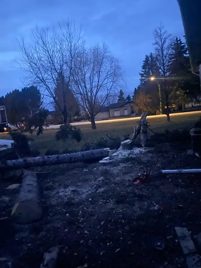Clear View Tree  Service/mergency services/ Hauling/ Stump grind62863251792643123