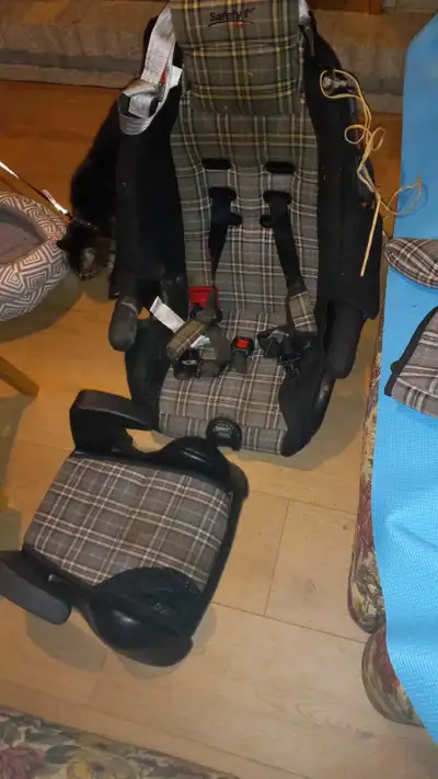 Car Seat + Booster Seat, View more