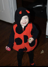 2 ladybug Halloween costumes 18 months costume 