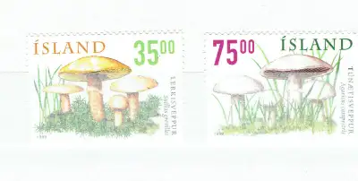 ISLAND. SET de 2 timbres neufs  CHAMPIGNONS / MUSHROOMS., View more