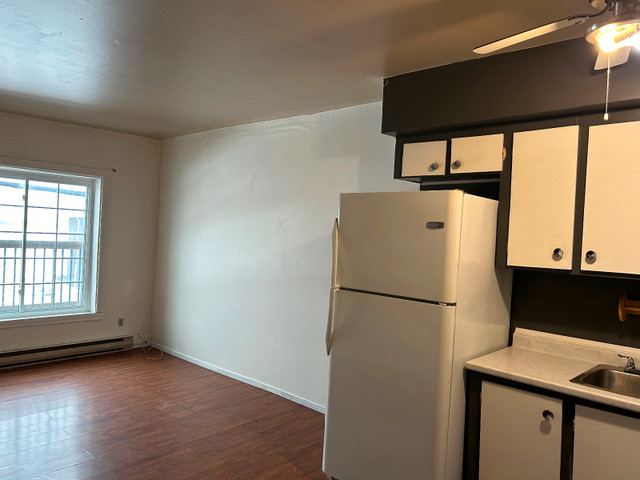 July 1st-1bdrm UPST apt-downtown Alexandria in Long Term Rentals in Cornwall - Image 2