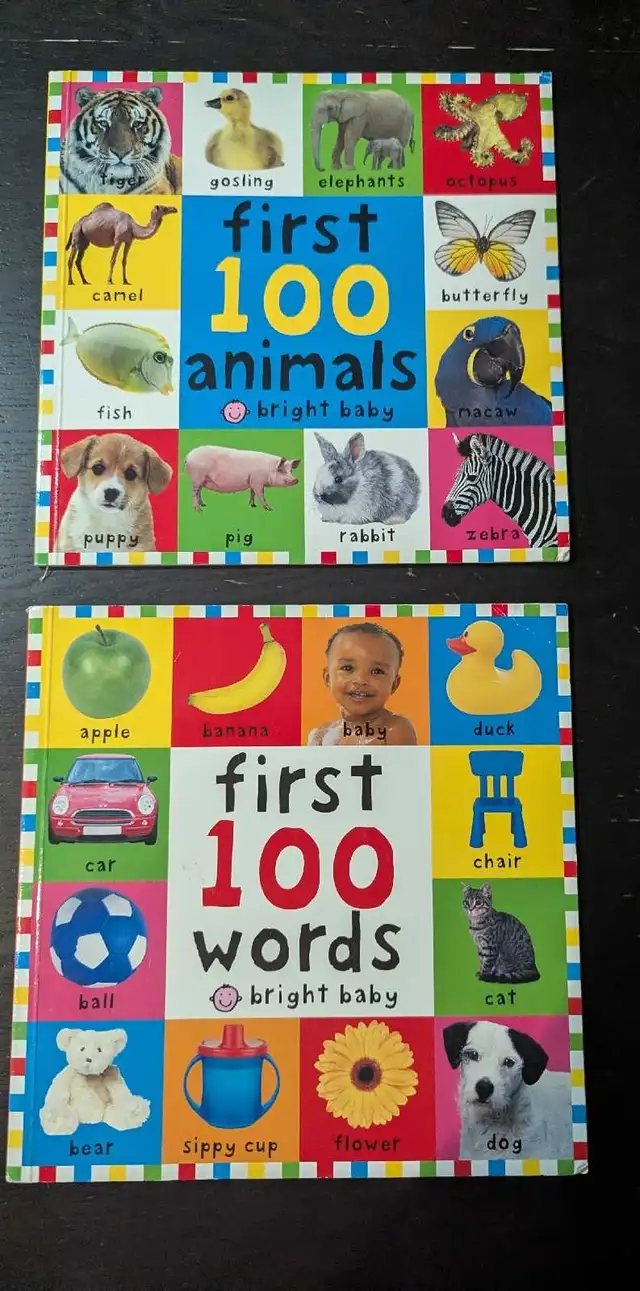 Baby First Word Books.  -  6 books in Children & Young Adult in City of Toronto - Image 4
