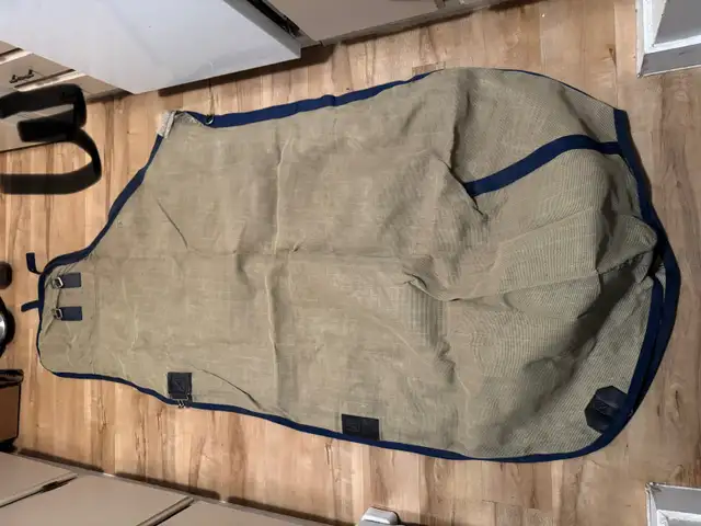 horse fly sheets and fly masks for sale in Equestrian & Livestock Accessories in Penticton - Image 3