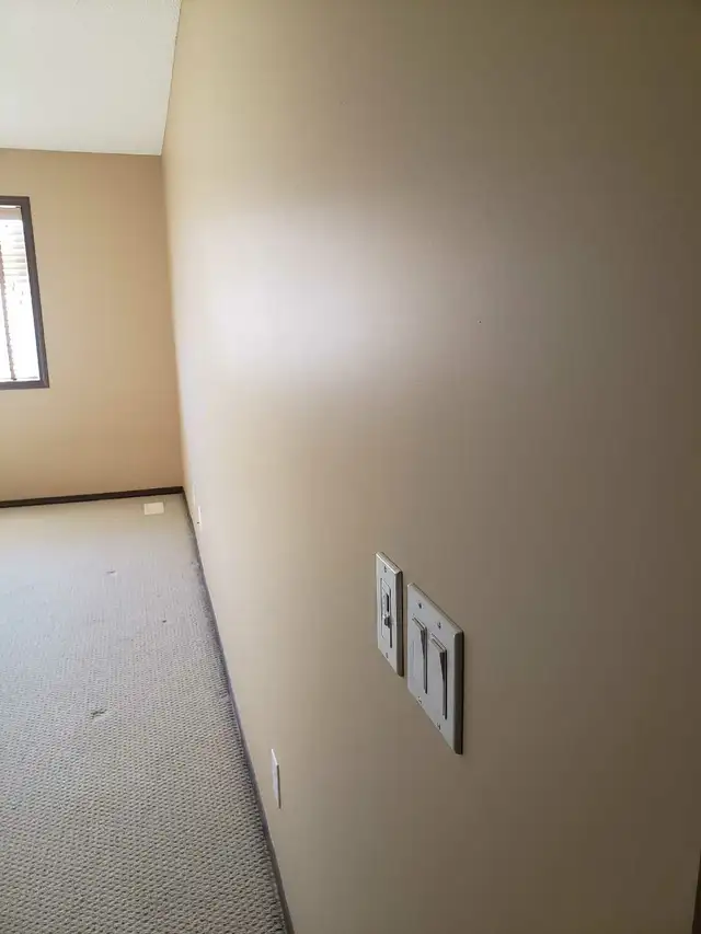 House Painter475022974948495368
