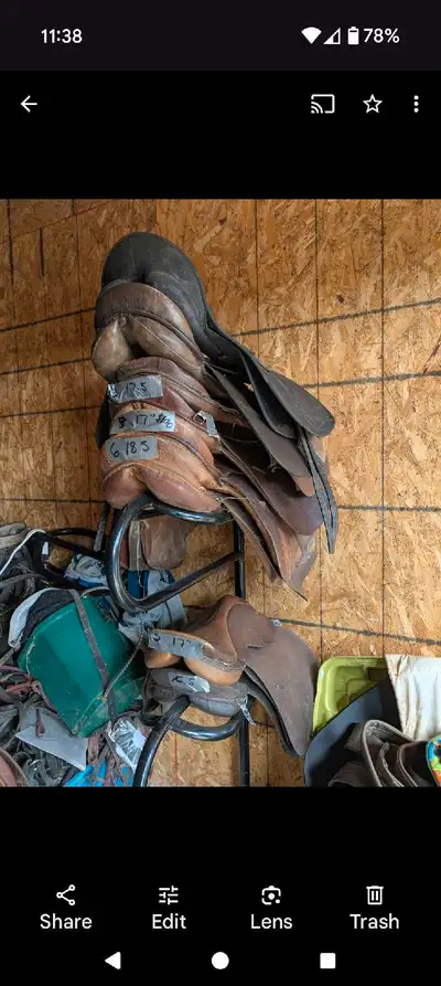 Anyone looking for a bunch of cheap English saddles some and brand name and some are no name? I need...