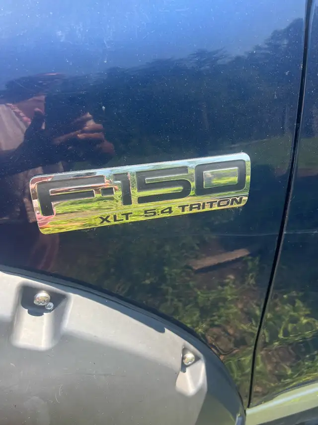 F150 Truck 529384576533155843