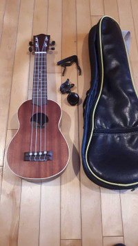 Lanikai ukulele 