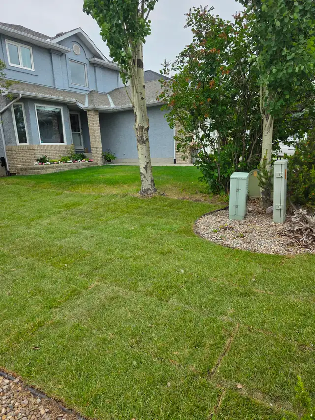 Sod/Grass Installation504480088752148484