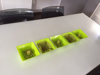 Centre de table décoratif vert lime