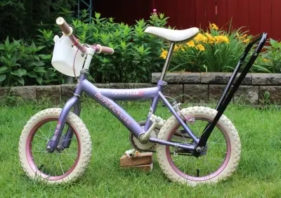 Girl's Training Bike with New Training Wheels & Training Handle, View more