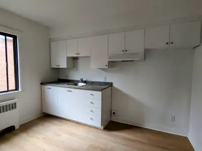 LOGEMENT RÉNOVÉ LIBRE MAINTENANT Inclue: - Chauffage - Eau chaude - 2 chambres fermées - Grand salon...